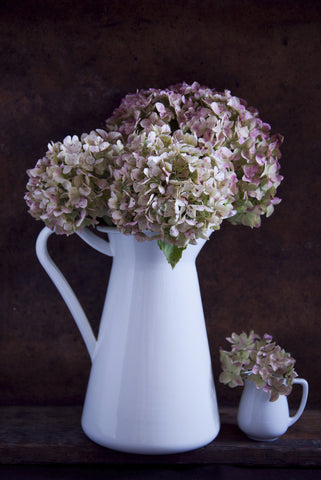 Hortensia Bouquet